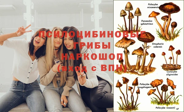 первитин Вязьма
