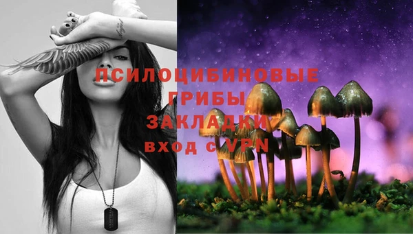 первитин Вязьма