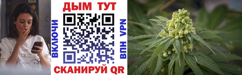 Конопля Bruce Banner  Купить  Калачинск 